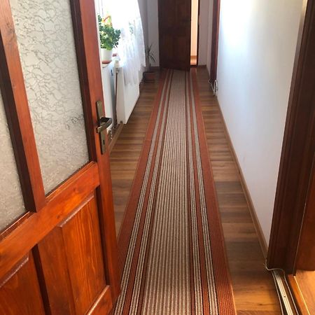 Pensiunea Lacramioara Vatra Dornei Zewnętrze zdjęcie